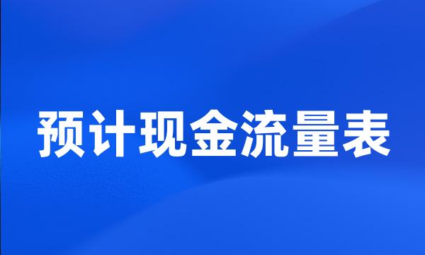 预计现金流量表