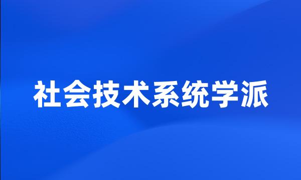 社会技术系统学派