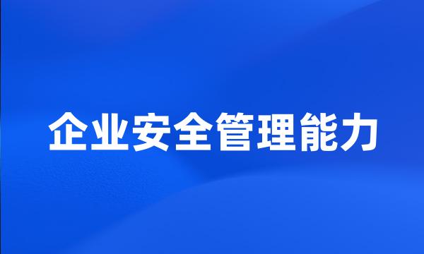 企业安全管理能力