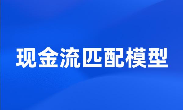 现金流匹配模型