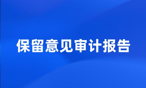 保留意见审计报告