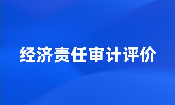 经济责任审计评价