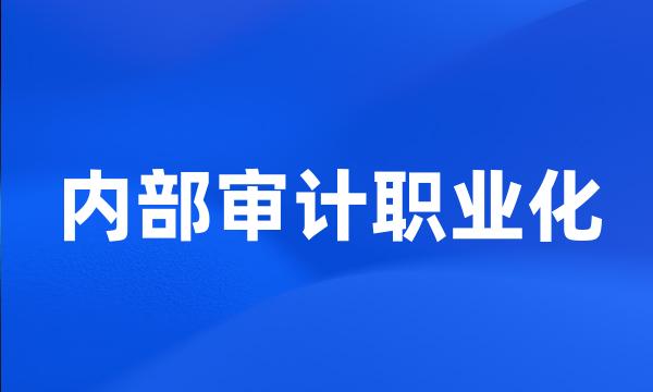 内部审计职业化