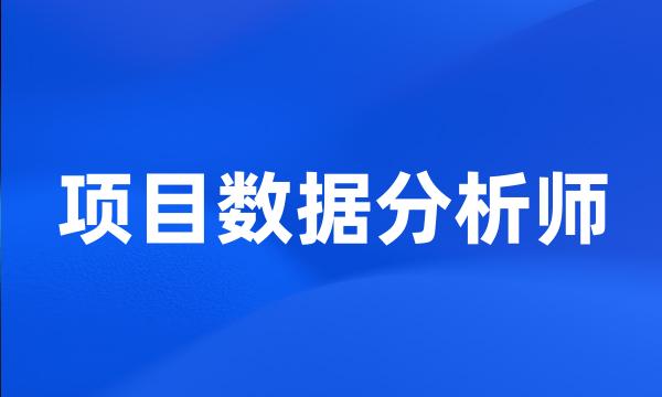 项目数据分析师