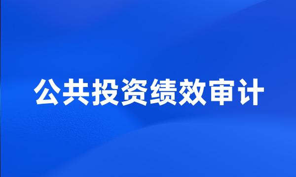 公共投资绩效审计