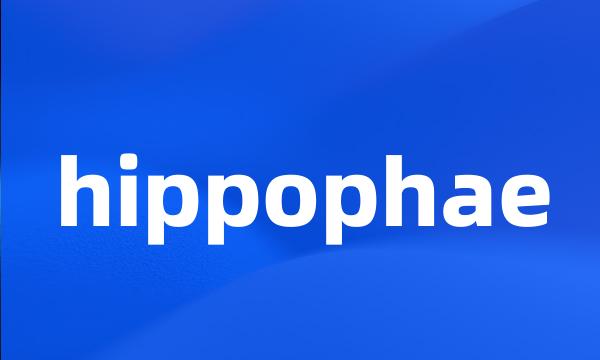 hippophae