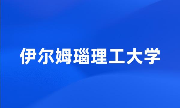 伊尔姆瑙理工大学