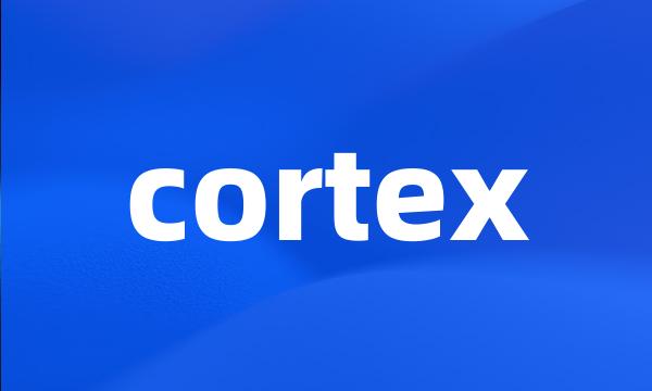 cortex