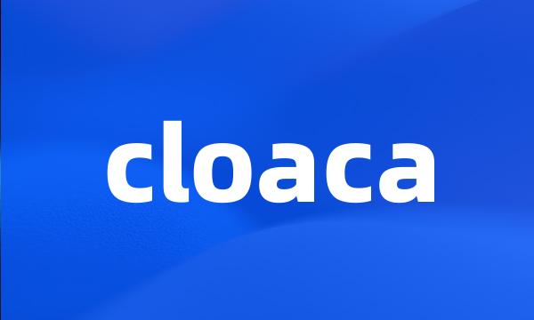 cloaca