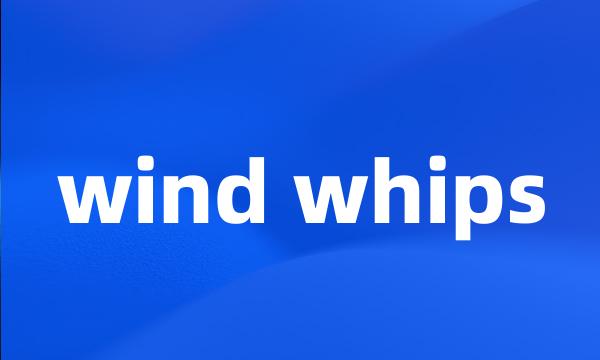 wind whips