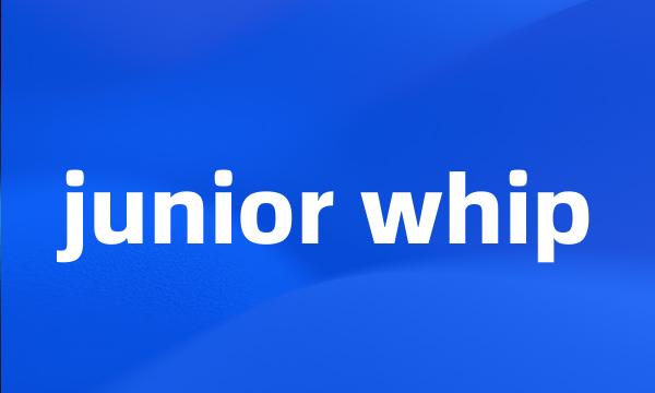 junior whip