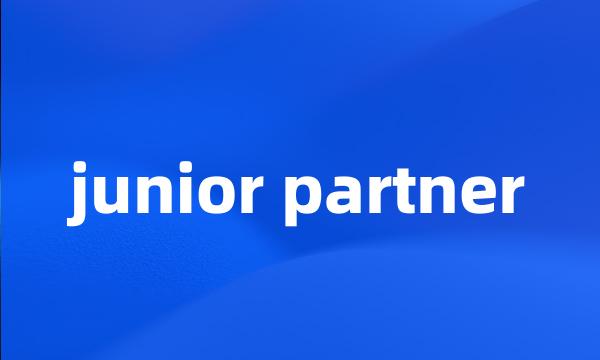 junior partner