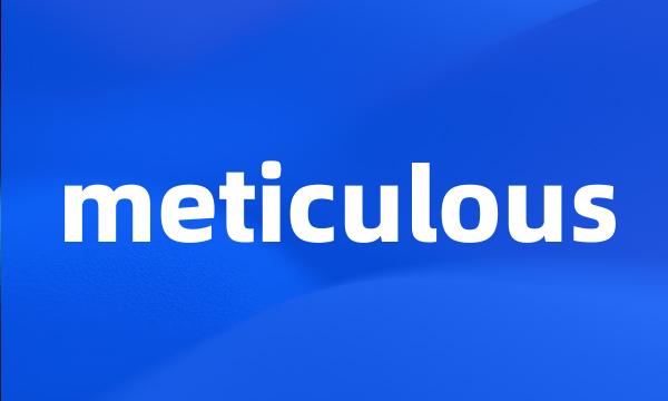 meticulous