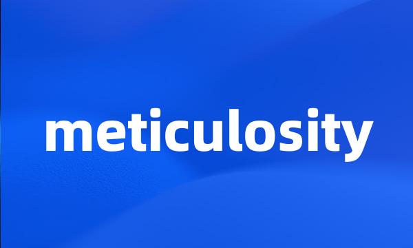 meticulosity