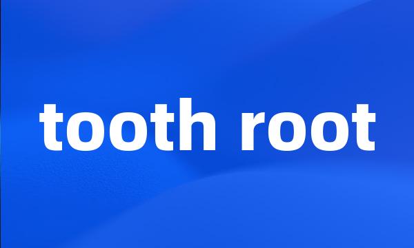 tooth root