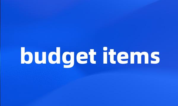 budget items