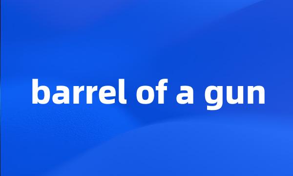 barrel of a gun