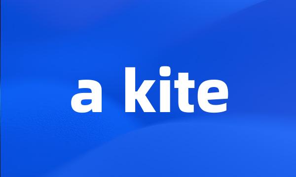 a kite