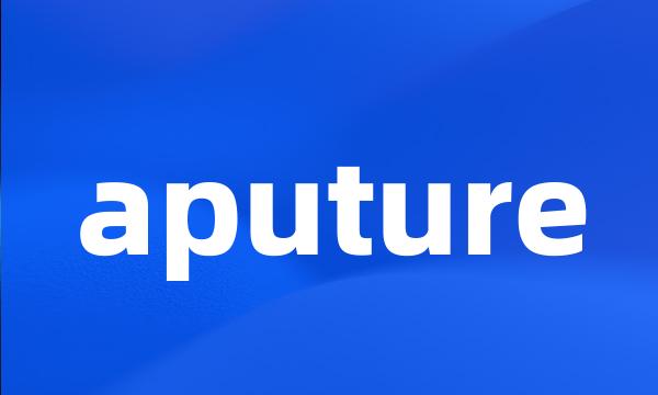 aputure