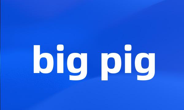 big pig