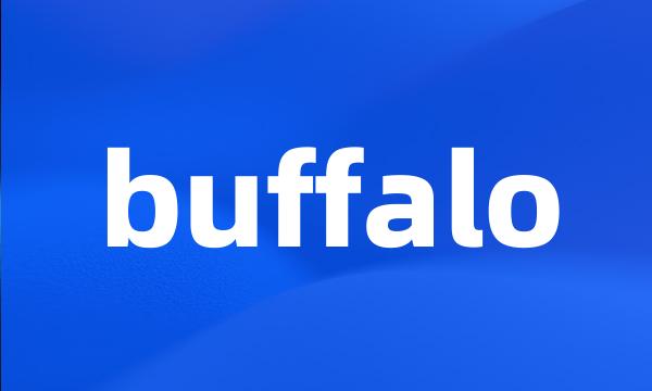 buffalo