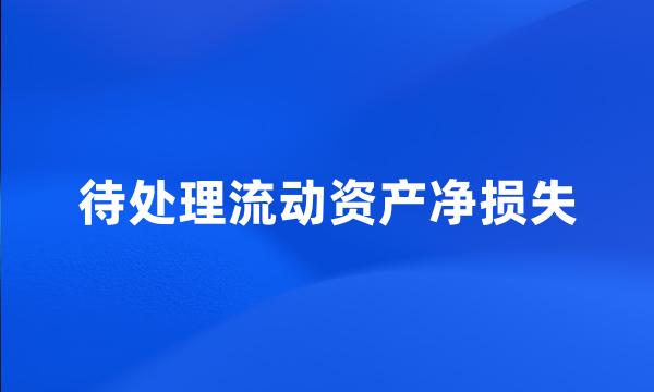 待处理流动资产净损失