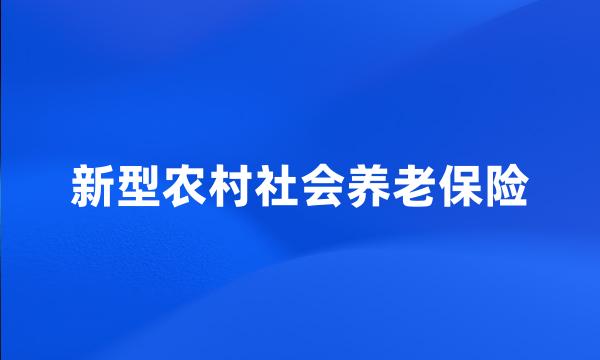 新型农村社会养老保险