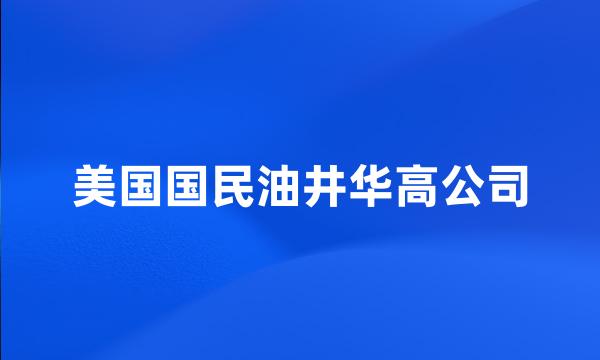 美国国民油井华高公司