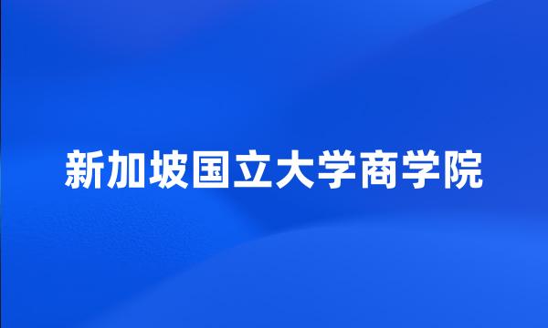 新加坡国立大学商学院