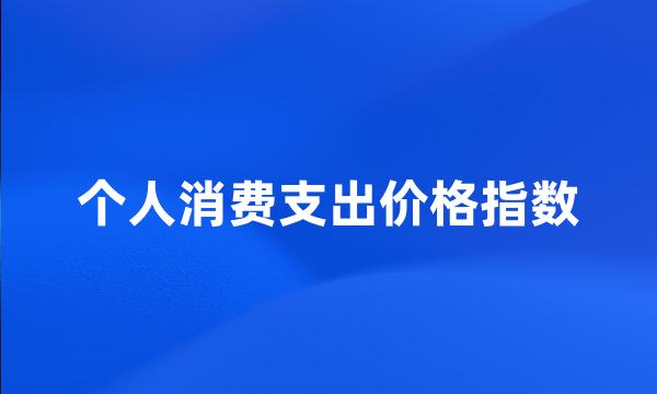 个人消费支出价格指数