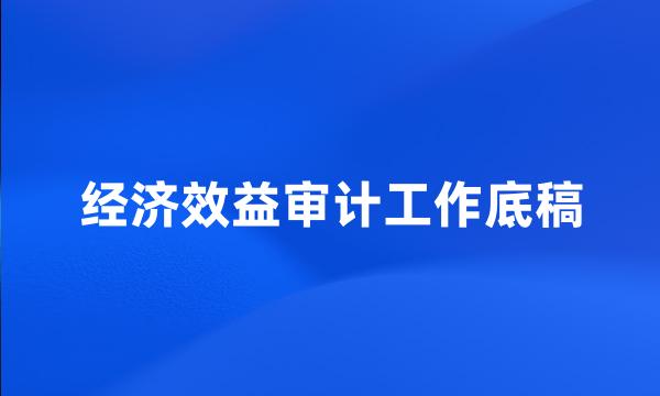 经济效益审计工作底稿