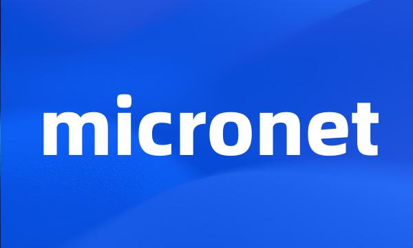 micronet