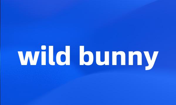 wild bunny