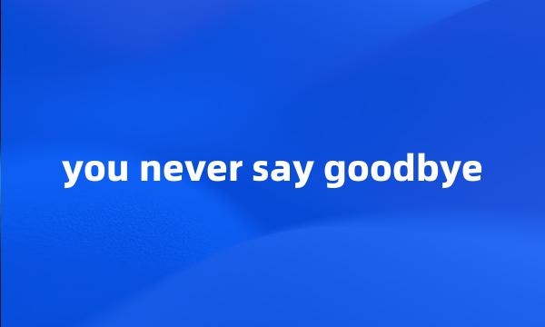 you never say goodbye