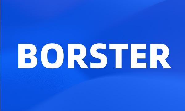 BORSTER