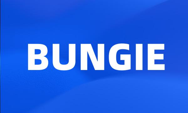 BUNGIE