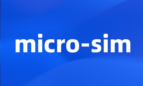 micro-sim