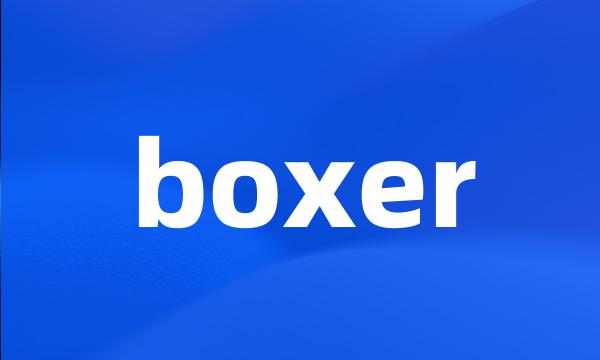 boxer