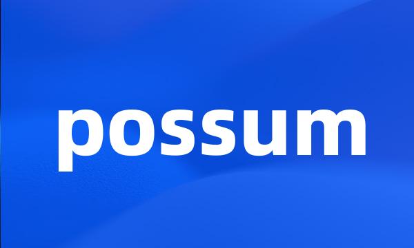 possum