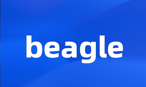 beagle