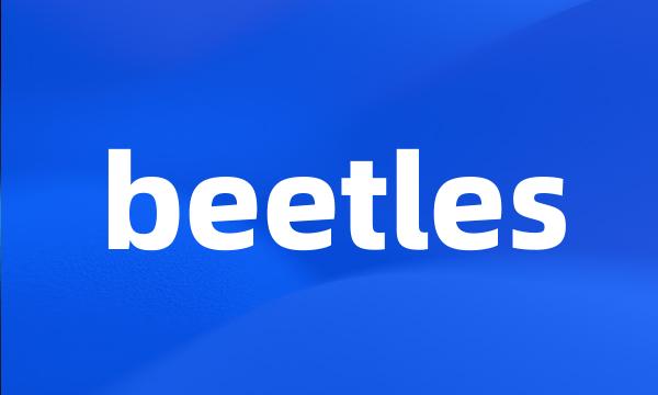 beetles