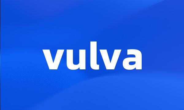 vulva