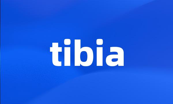 tibia