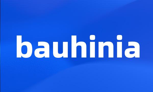 bauhinia