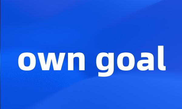 own goal