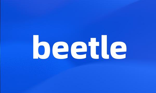 beetle