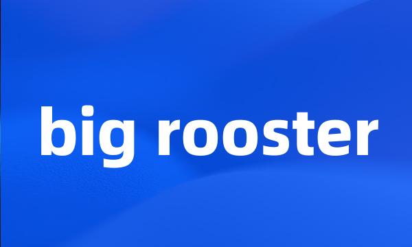 big rooster