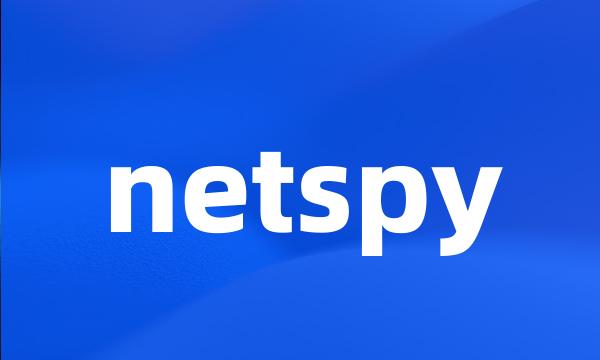 netspy