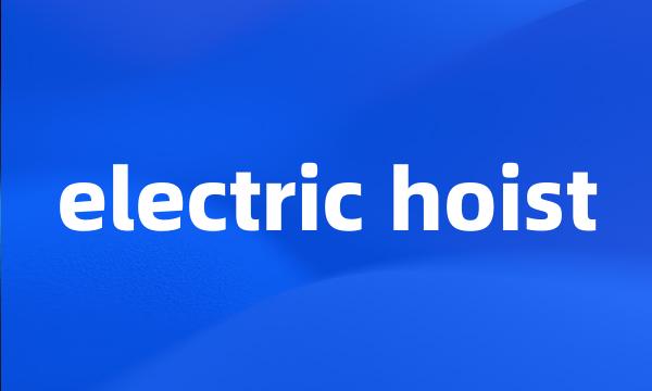 electric hoist