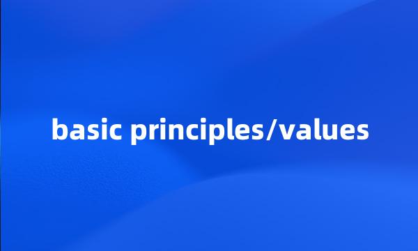 basic principles/values